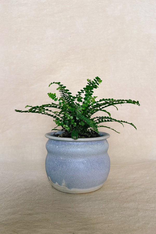 Ceramic Planter / Vessel 42